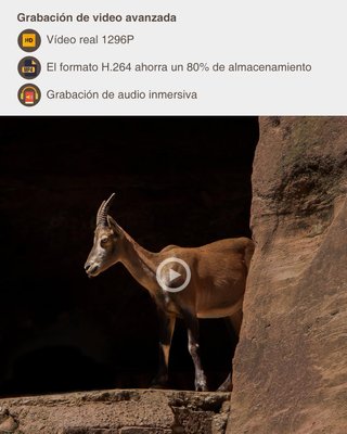 Cámara de Caza GardePro A5 64MP Visión Nocturna