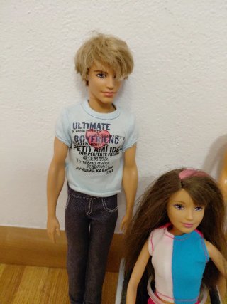 Lotto Barbie Ken con Silla Ruedas