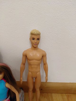 Lotto Barbie Ken con Silla Ruedas