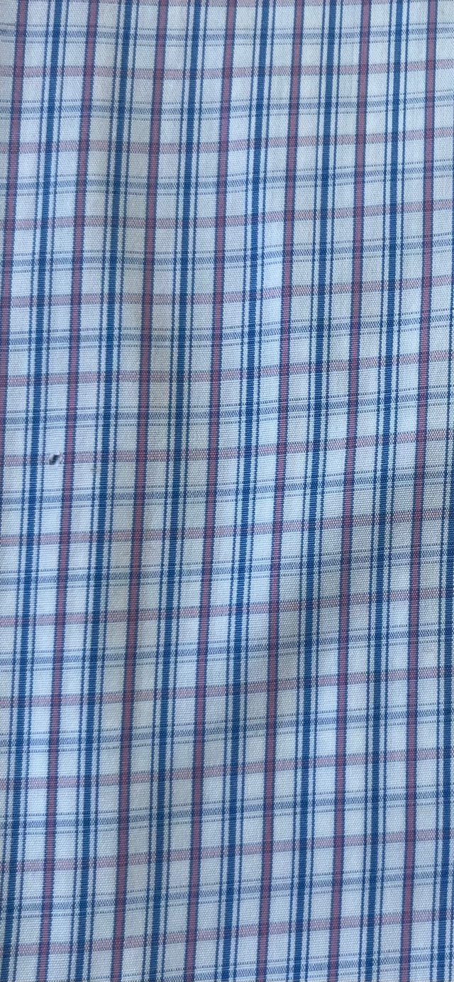 Camisa Burberry Cuadros Azul y Blanco