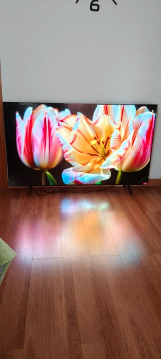 LG OLED 65 Smart TV