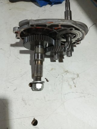 Desarrollos Scooter Peugeot 50cc Horizontal