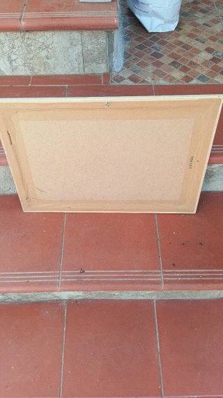 Cuadro Decorativo Aladdín