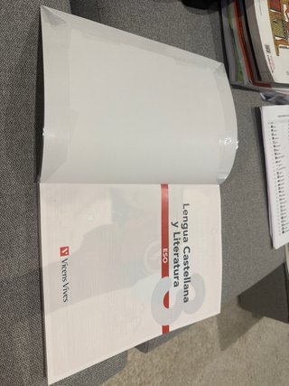 Lengua castellana y literatura