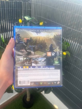 5. ARK Survival Evolved PlayStation 4 – Funciona P