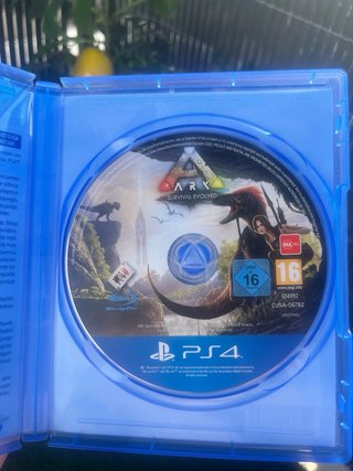 5. ARK Survival Evolved PlayStation 4 – Funciona P