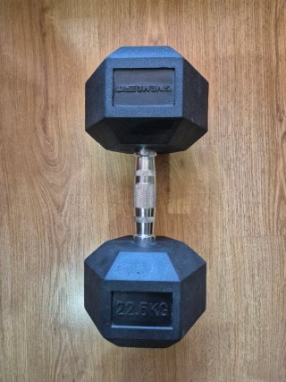 Mancuerna hexagonal 22.5 kg