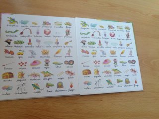 Libro infantil Los Dragones Leo y Veo