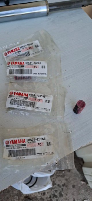Muelles Embrague Yamaha TZR 125