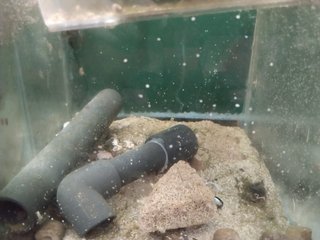 Material para acuario