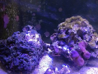 Material para acuario