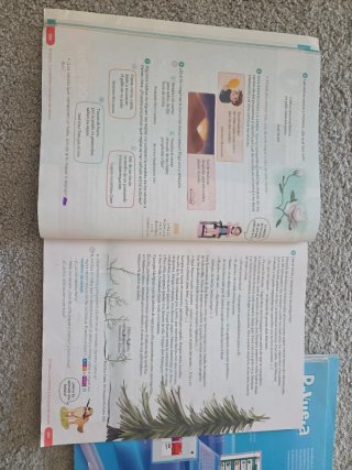 Lengua castellana y literatura, 5 Primaria Revuela