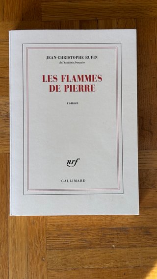 Les flammes de pierre roman