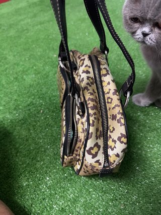 Bolso Tous estampado leopardo