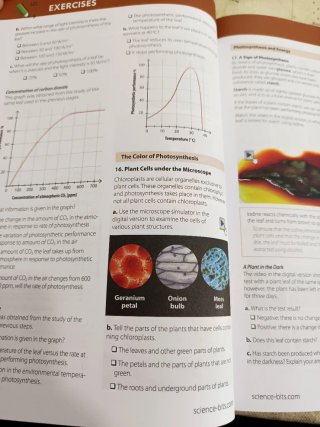 Biology & Geology 1 ESO