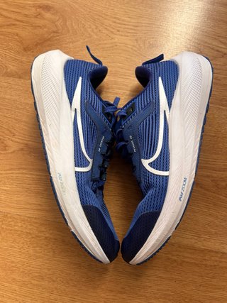 Zapatillas Nike Pegasus 40 Talla 38