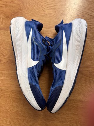 Zapatillas Nike Pegasus 40 Talla 38
