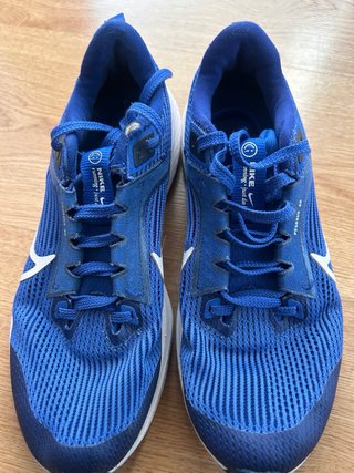 Zapatillas Nike Pegasus 40 Talla 38