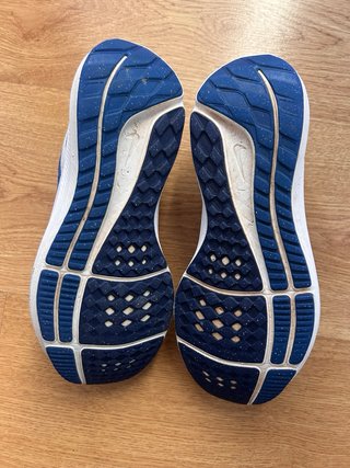 Zapatillas Nike Pegasus 40 Talla 38