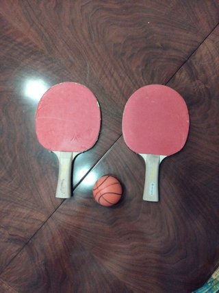 2 Palas de Ping Pong y Pelota