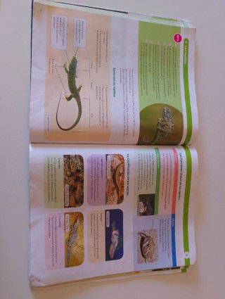 Biología y geología 1 ESO