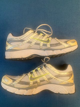 Zapatillas Nike Air Pegasus 25