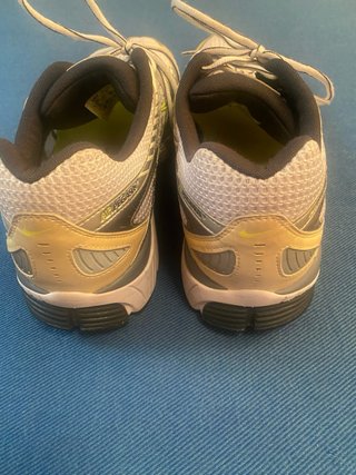 Zapatillas Nike Air Pegasus 25