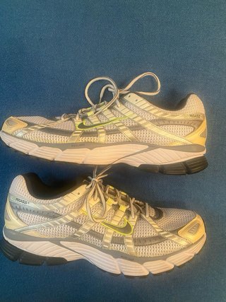 Zapatillas Nike Air Pegasus 25