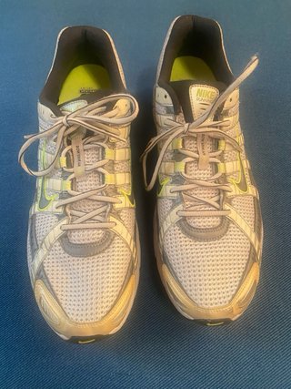 Zapatillas Nike Air Pegasus 25