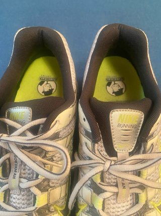 Zapatillas Nike Air Pegasus 25