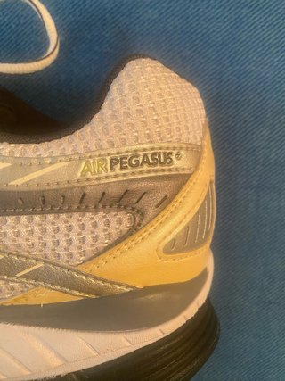 Zapatillas Nike Air Pegasus 25