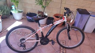 Bicicleta 24" Orbea Oregón