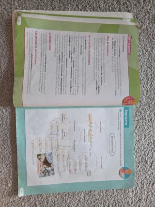Ciencias de la Naturaleza, 4 Primaria, Revuela