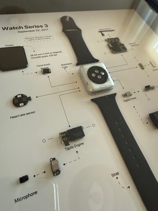 Cuadro Despiece Apple Watch Series 3