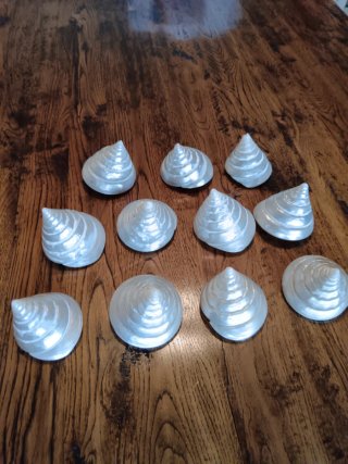 Conchiglie di Madreperla Decorative (Set 11)