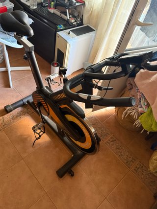 Bicicleta de Spinning Profesional trainer alpine