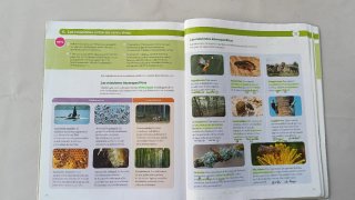 BIOLOGIA Y GEOLOG 4ESO EXPERIMENTAMOS 978841448809