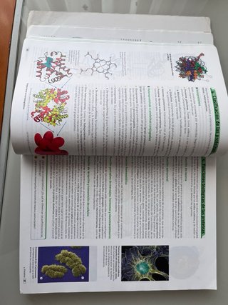 Biología, Bachillerato 2