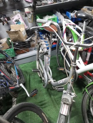Bicicleta plegable gris