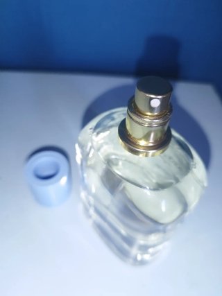 Dolce & Gabbana Light Blue Eau de Parfum