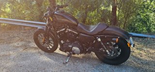 Harley Davidson 883 Iron