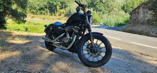 Harley Davidson 883 Iron
