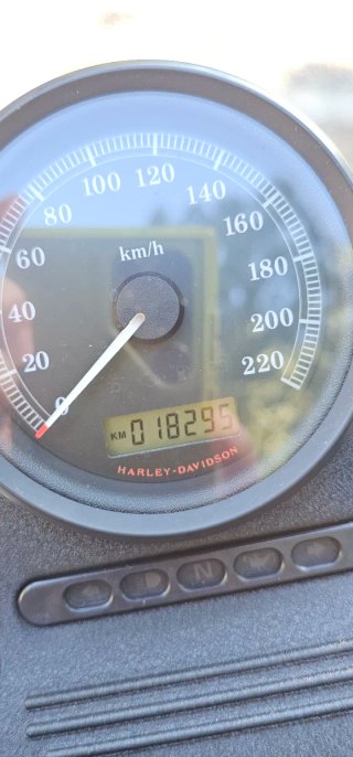 Harley Davidson 883 Iron