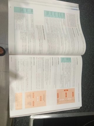 Lengua castellana y literatura 1, Le Bachillerato