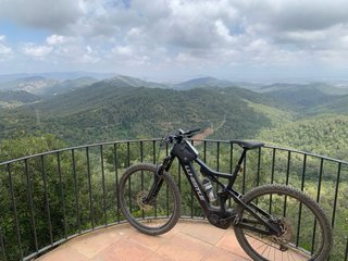 Bici Eléctrica Whistle B-Rush  Carbono