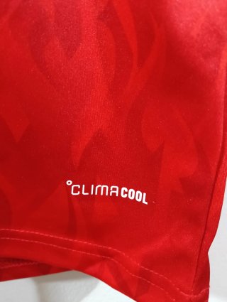Belgium National Team Jersey Adidas World Cup 2026