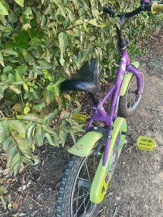 Bicicleta infantil morada y verde