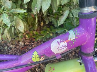 Bicicleta infantil morada y verde