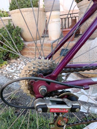 Bicicleta MCA/Magoan