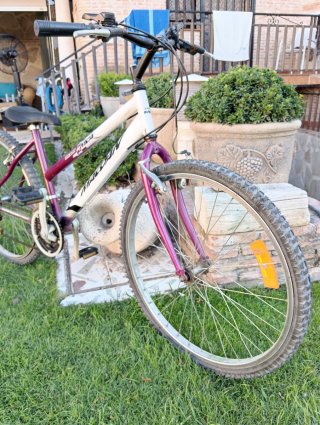 Bicicleta MCA/Magoan